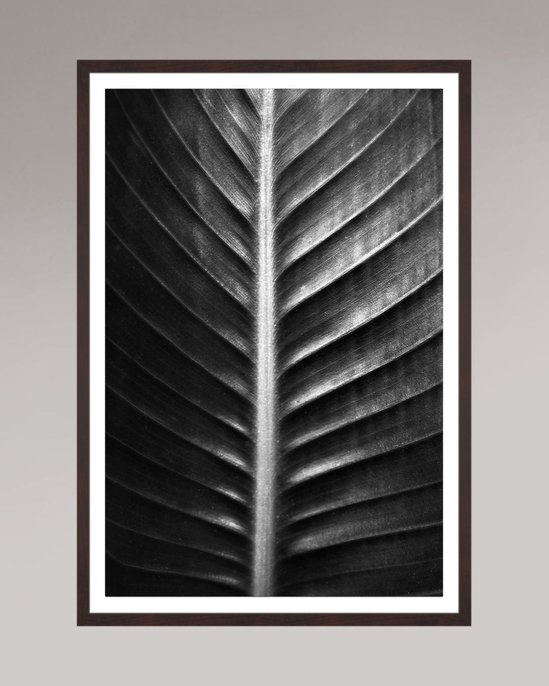 Photographie fine art encadrée The Sacred Art of Nature, format 60×80 cm, tirage d’art en noir et blanc