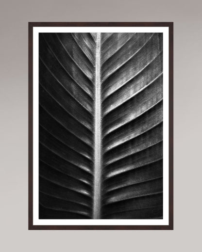 Photographie fine art encadrée The Sacred Art of Nature, format 60×80 cm, tirage d’art en noir et blanc