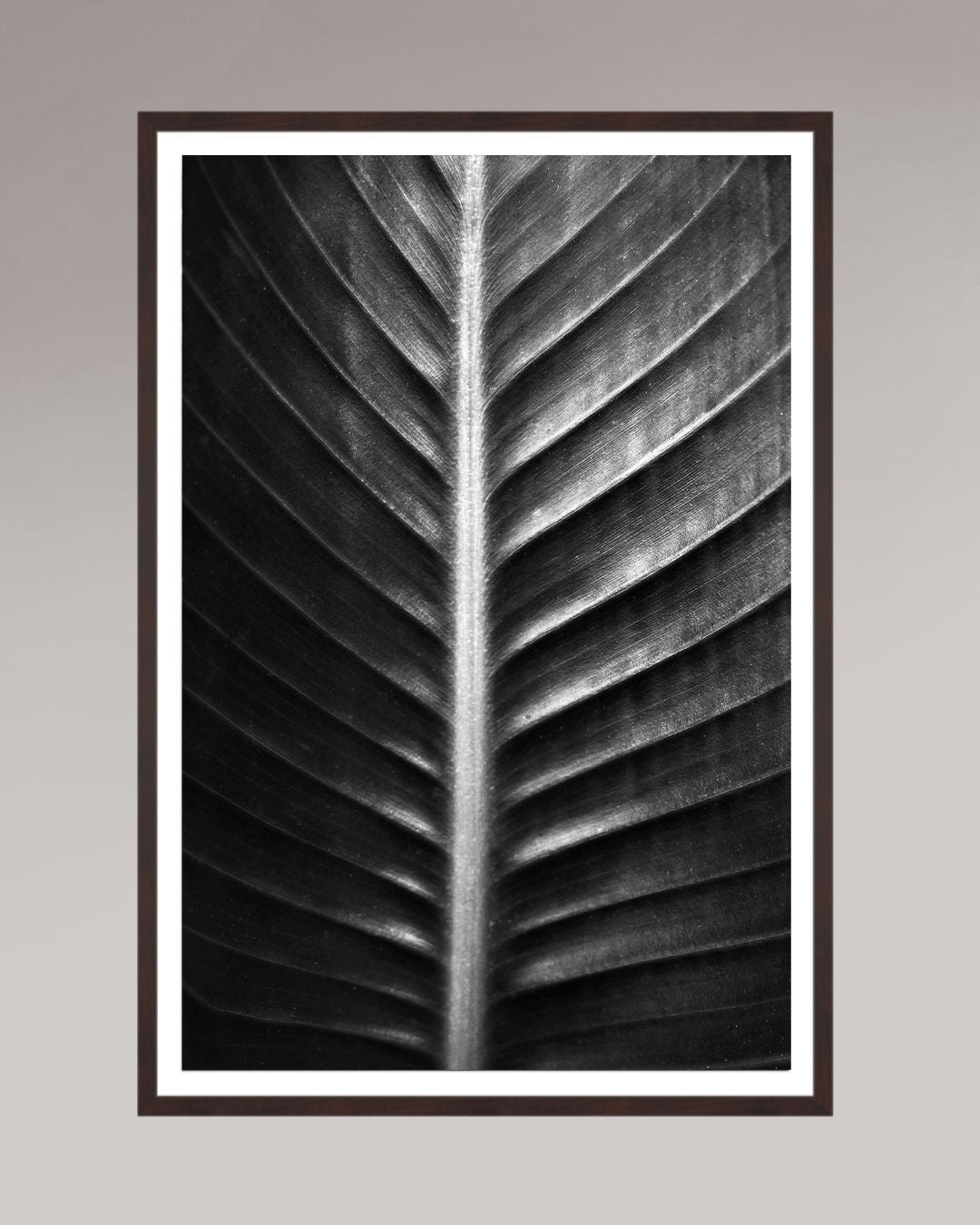 Photographie fine art encadrée The Sacred Art of Nature, format 70×105 cm, tirage d’art en noir et blanc