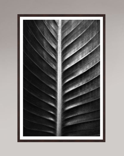 Photographie fine art encadrée The Sacred Art of Nature, format 70×105 cm, tirage d’art en noir et blanc