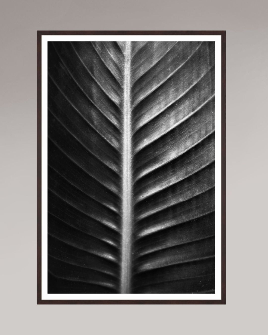 Photographie fine art encadrée The Sacred Art of Nature, format 80×120 cm, tirage d’art en noir et blanc