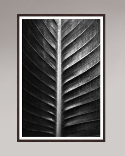 Photographie fine art encadrée The Sacred Art of Nature, format 80×120 cm, tirage d’art en noir et blanc
