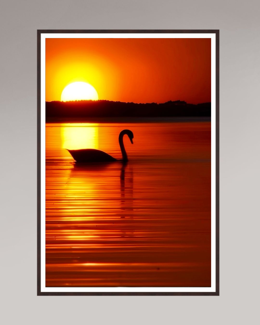 Grand tirage d’art encadré The Swan, format 100×150 cm, silhouette d’un cygne dans une lumière dorée sur le lac.