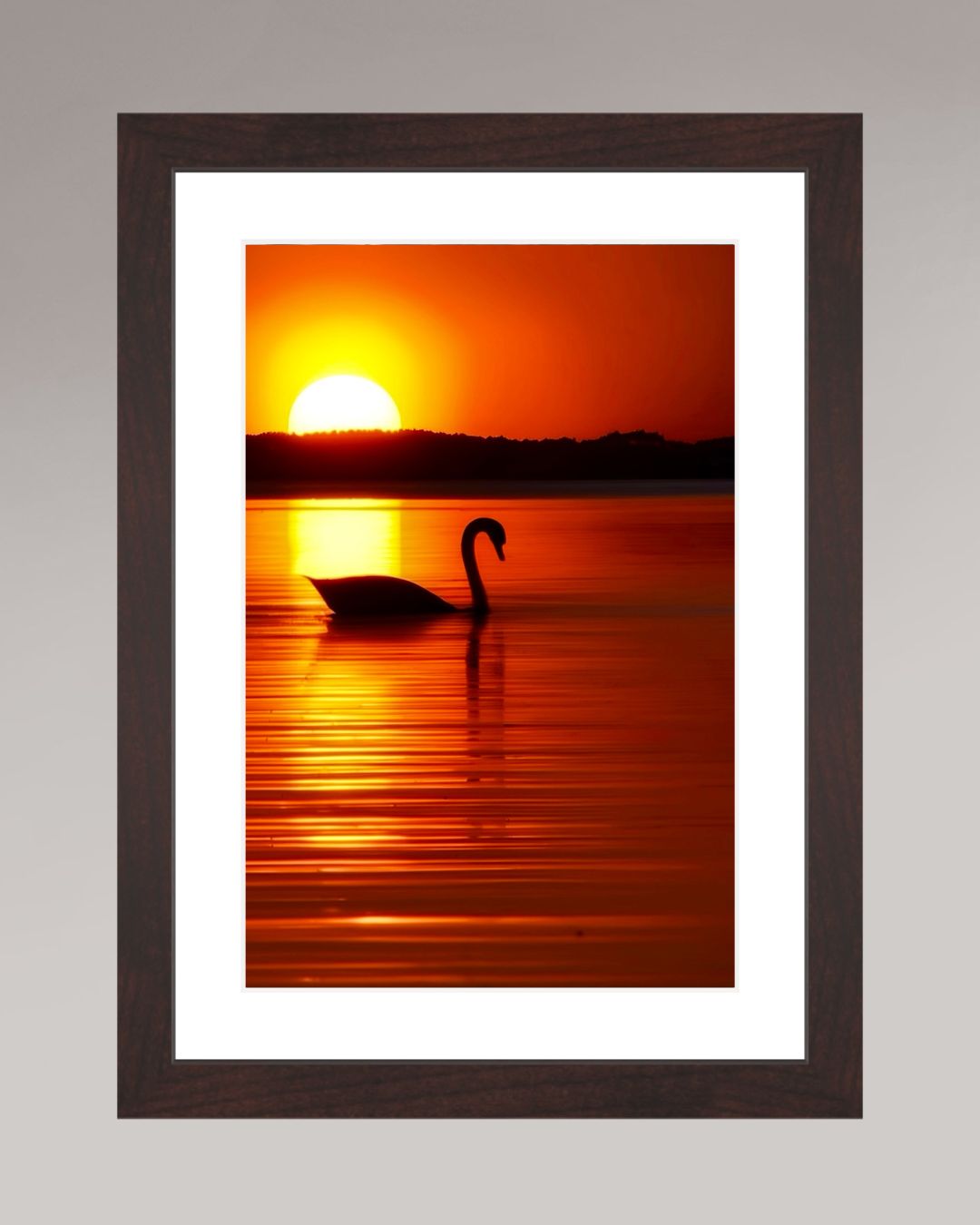 Photographie d’art encadrée The Swan, format 20×30 cm, cygne au coucher du soleil sur eau calme.
