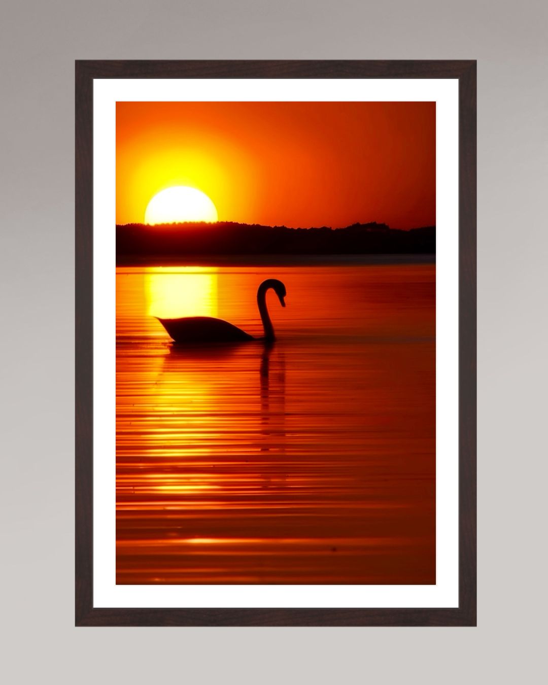 Tirage d’art encadré The Swan, format 40×60 cm, cygne sur lac au crépuscule, ambiance dorée.
