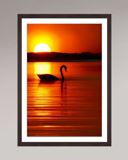 Tirage d’art encadré The Swan, format 40×60 cm, cygne sur lac au crépuscule, ambiance dorée.