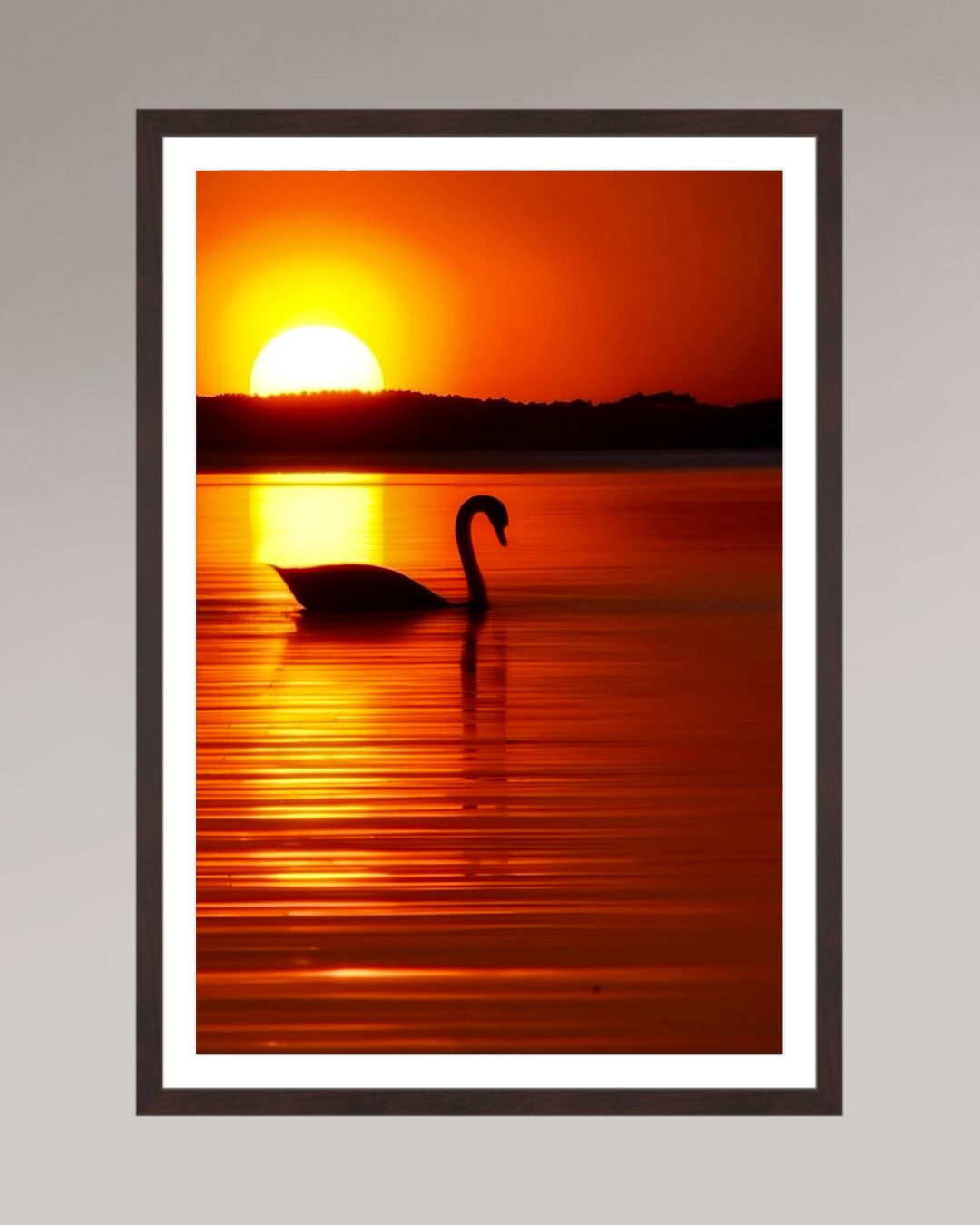 Photographie encadrée The Swan, format 50×75 cm, scène paisible d’un cygne au coucher du soleil.