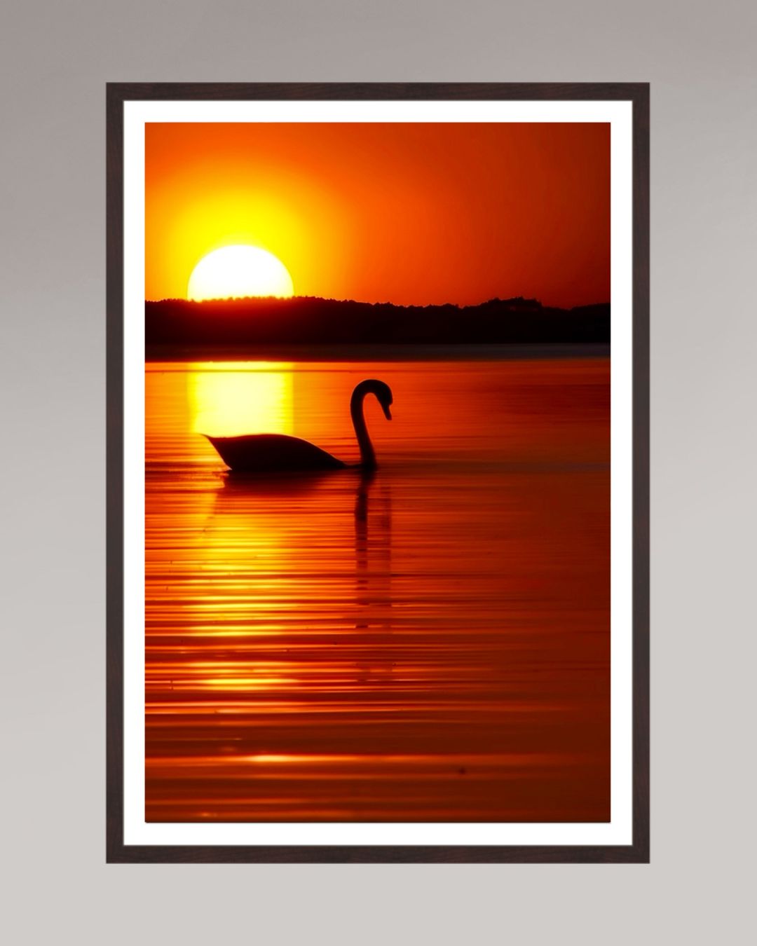 Photo d’art encadrée The Swan, format 60×90 cm, cygne solitaire dans une lumière chaude sur l’eau.
