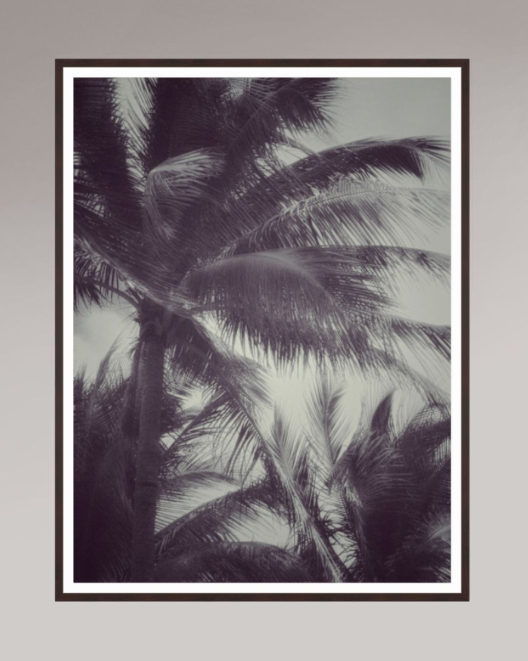 Grand tirage d’art encadré Tropical Breath, format 105×140 cm, scène tropicale en noir et blanc avec palmiers dans le vent.