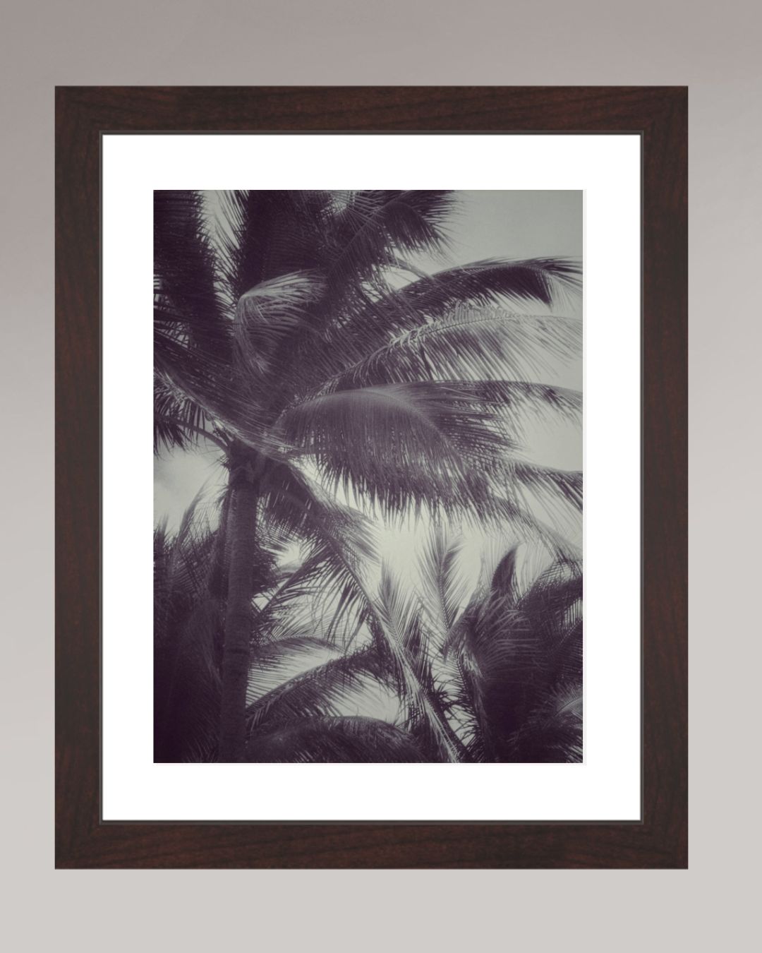 Photographie d’art encadrée Tropical Breath, format 21×28 cm, palmiers en mouvement en noir et blanc.