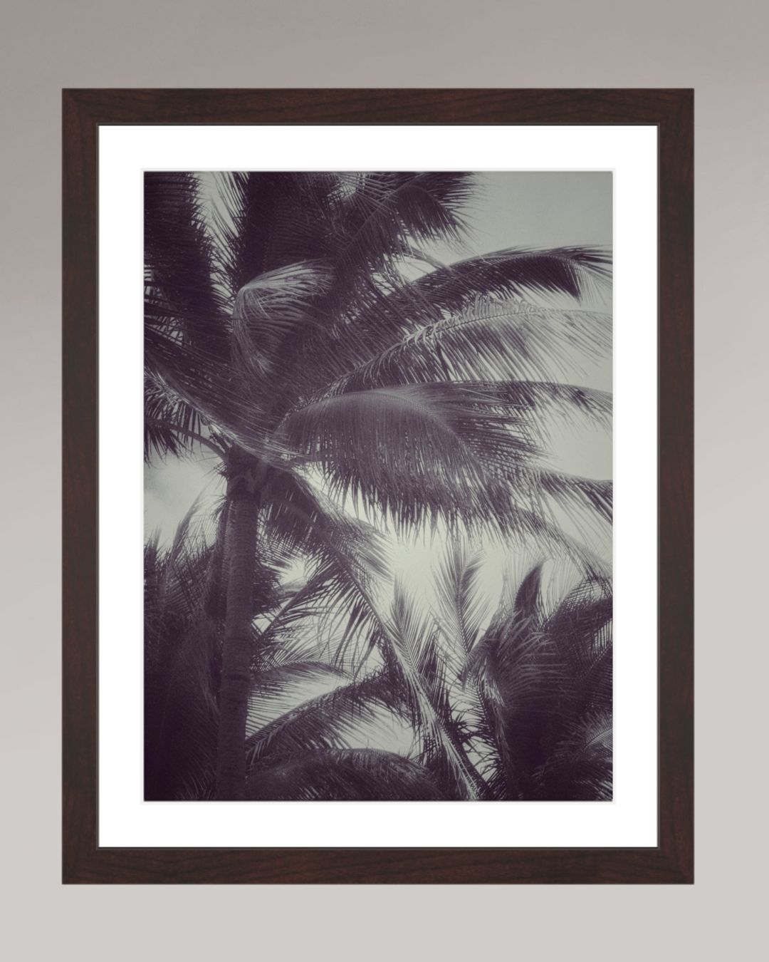 Photo fine art encadrée Tropical Breath, format 30×40 cm, silhouettes de palmiers dans le vent, noir et blanc.