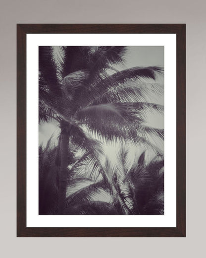 Photo fine art encadrée Tropical Breath, format 30×40 cm, silhouettes de palmiers dans le vent, noir et blanc.