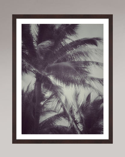 Tirage d’art encadré Tropical Breath, format 45×60 cm, palmiers tropicaux en mouvement, ambiance minimaliste.