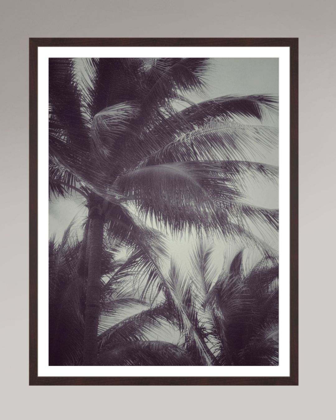 Photographie encadrée Tropical Breath, format 60×80 cm, palmiers balayés par le vent en noir et blanc.