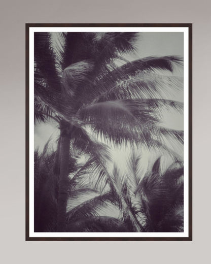 Tirage photo encadré Tropical Breath, format 80×120 cm, silhouettes de palmiers dans une lumière douce.