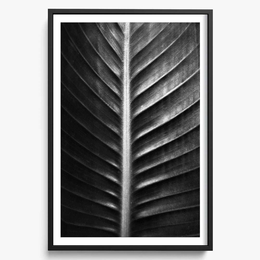The Sacred Art of Nature