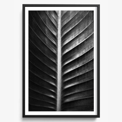 The Sacred Art of Nature