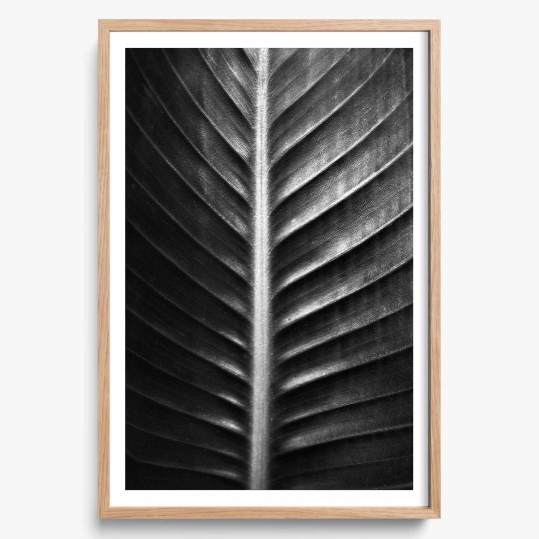 The Sacred Art of Nature