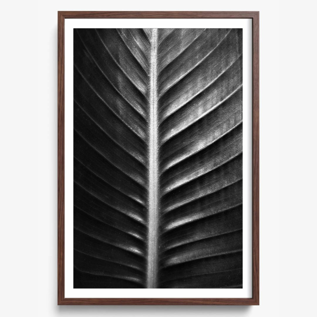 The Sacred Art of Nature