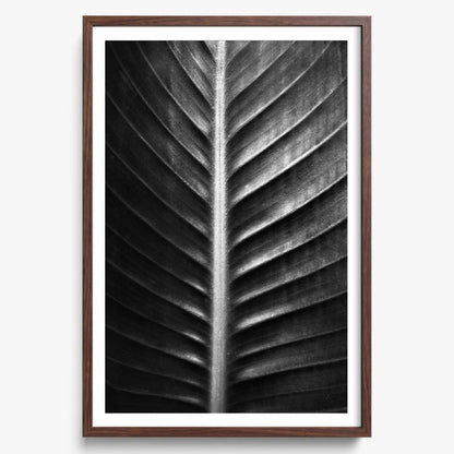 The Sacred Art of Nature