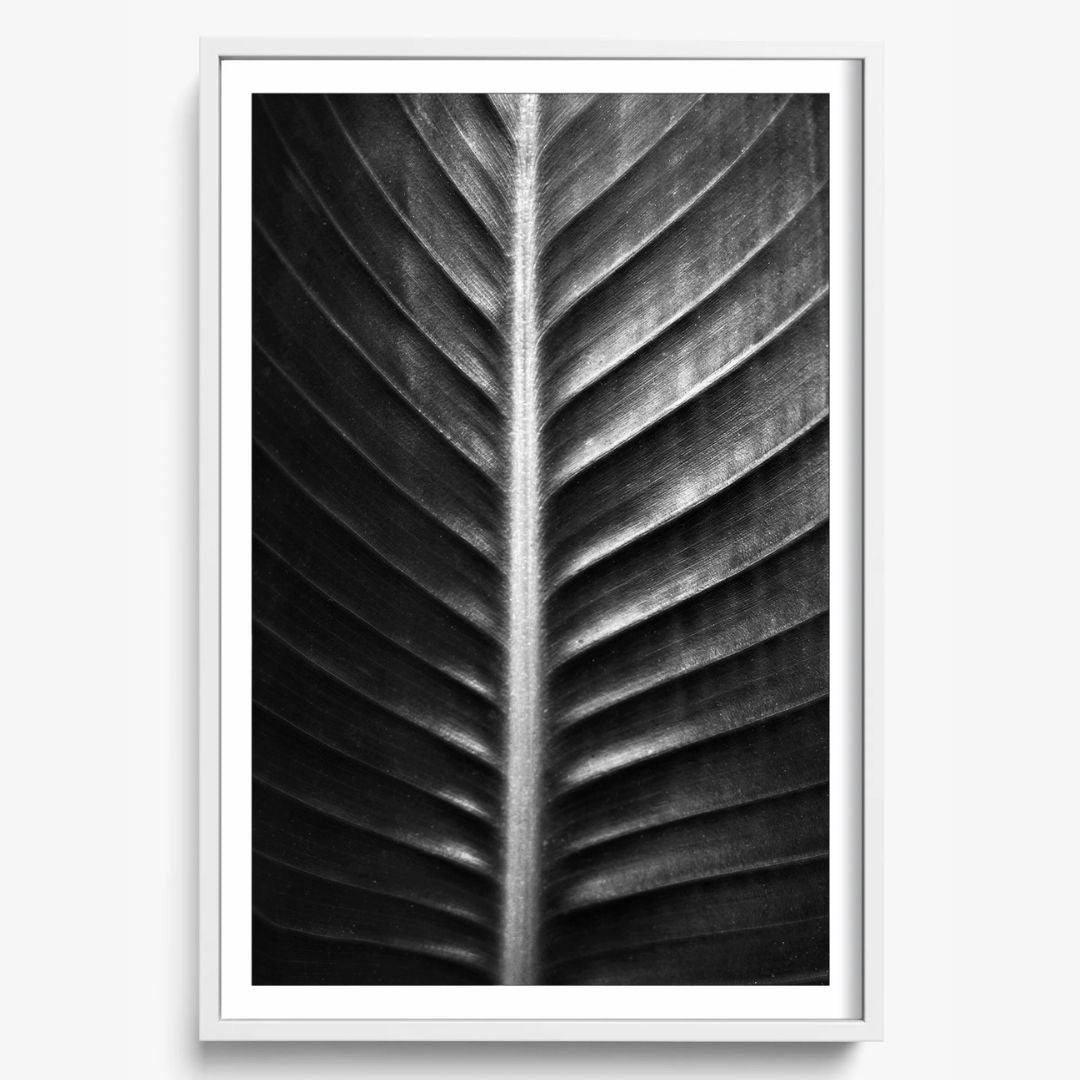 The Sacred Art of Nature