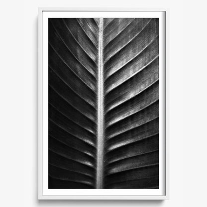 The Sacred Art of Nature