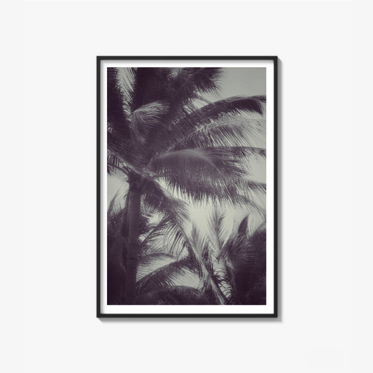 Tropical breath