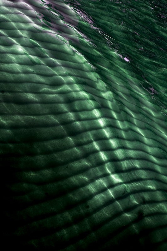 Emerald Drift - Bandanas SimpleMax